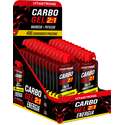 CARBO GEL 2:1
